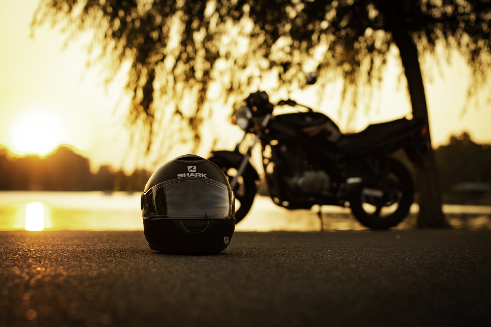 Uma motocicleta está estacionada ao lado de uma árvore e de outra motocicleta (capacete de motocicleta, motocicleta, capacete, árvore, exterior automotivo)