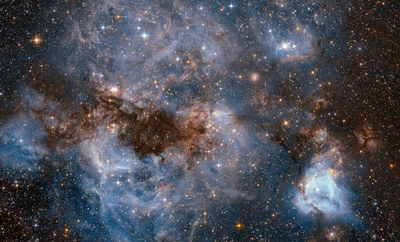 Vibrant Nebulae of the Large Magellanic Cloud: A Stellar Showcase in the Milky Way