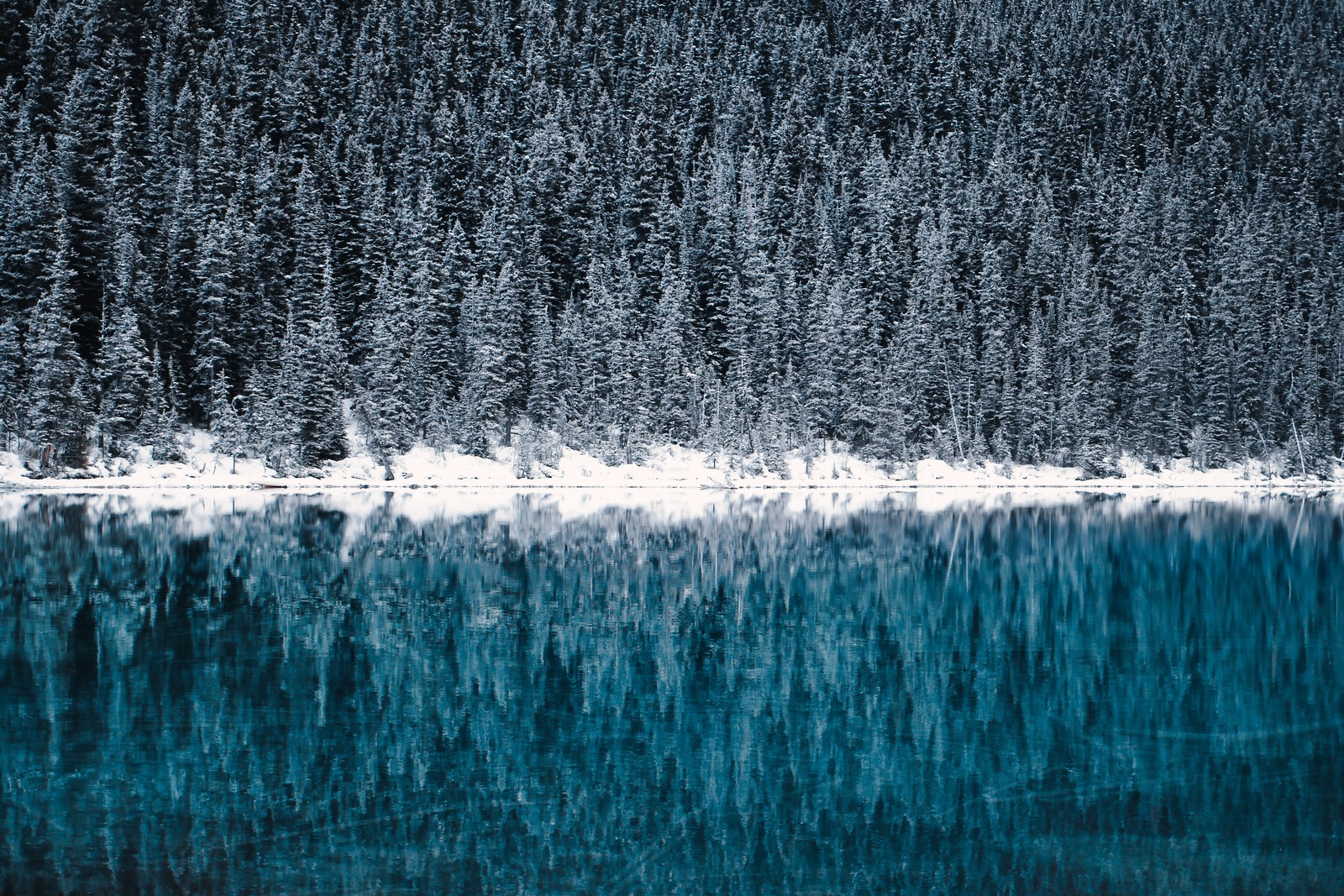 Крупный план озера с деревьями на заднем плане (озеро луиза, lake louise, зима, холодный, отражения)