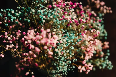 Bunter Baby's Breath Strauß in lebhaften Blau- und Pinktönen