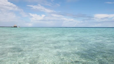 Tranquila costa caribeña con aguas azules y horizonte claro