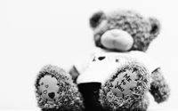 stuffed toy, teddy bear, white, black, black and white wallpaper