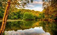 Reflets d'automne dans une réserve naturelle sereine