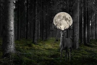 Surreal Monochrome Forest with Deer and Full Moon