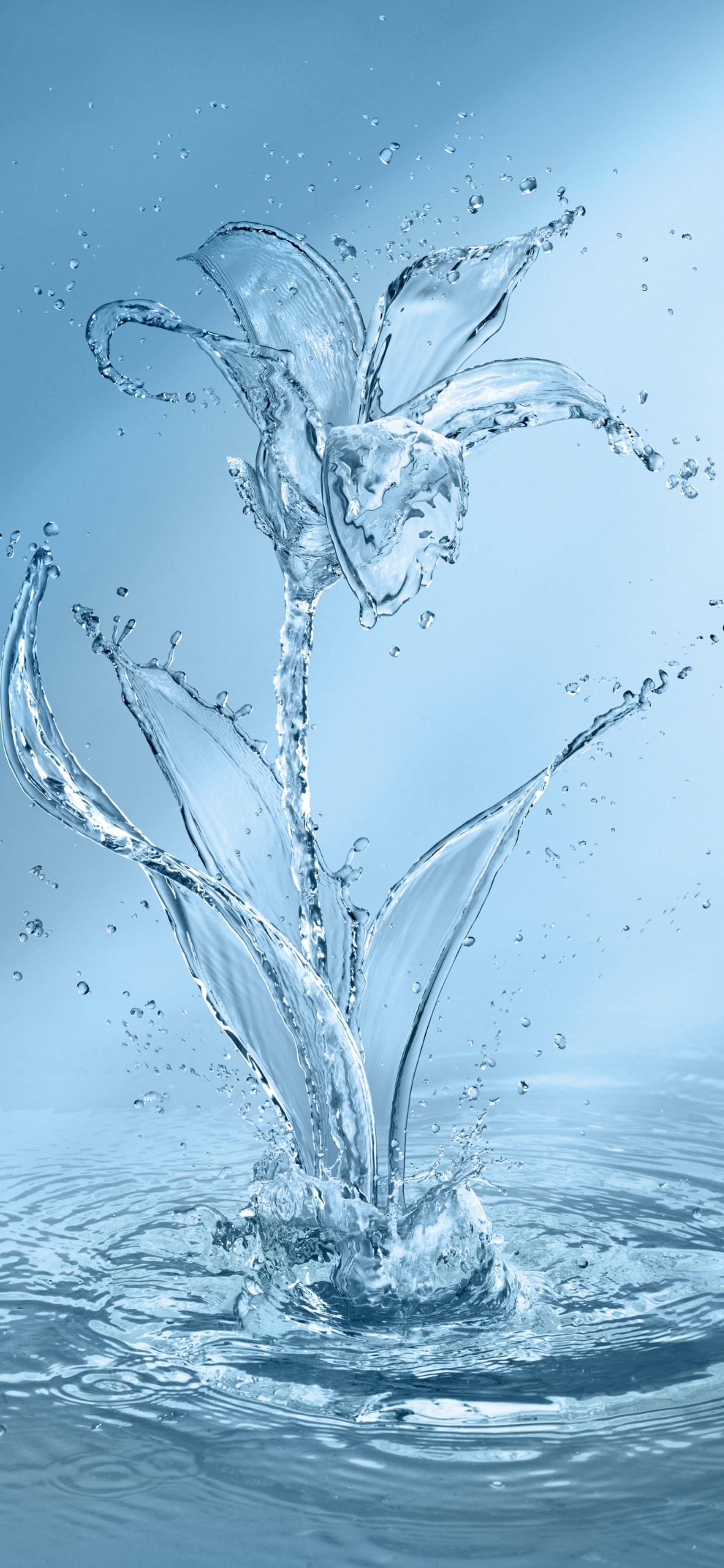 water, flower, art, fluid, liquid wallpaper