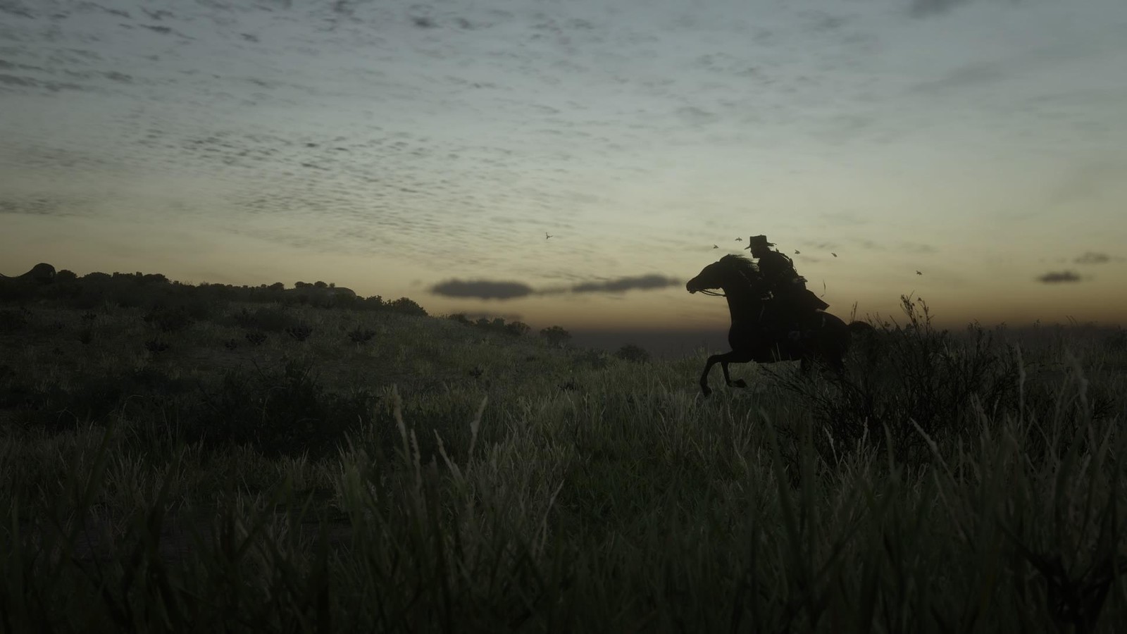 There is a man riding a horse in a field at sunset (steppe, shrubland, cloud, plant, natural landscape)