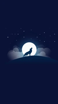 luna llena, noche, cielo, estrellas, lobo