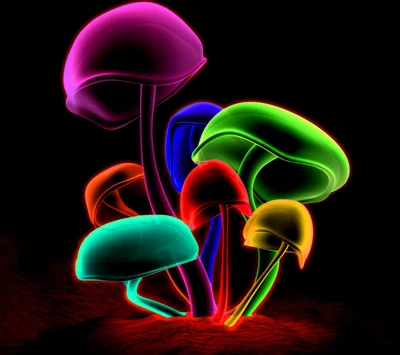 abstrait, multicolore, champignons