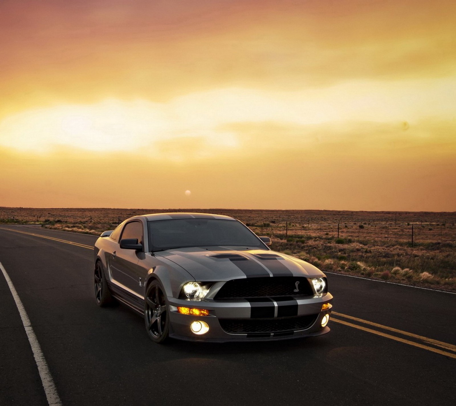 Скачать обои машина, ford mustang