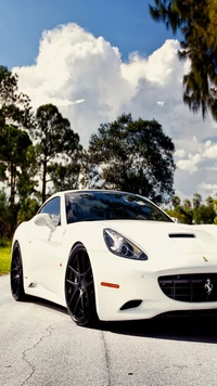 auto, car, ferrari, vehicle, white wallpaper