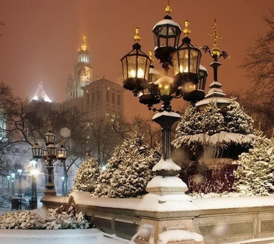 city, frozen, night, snow, winter