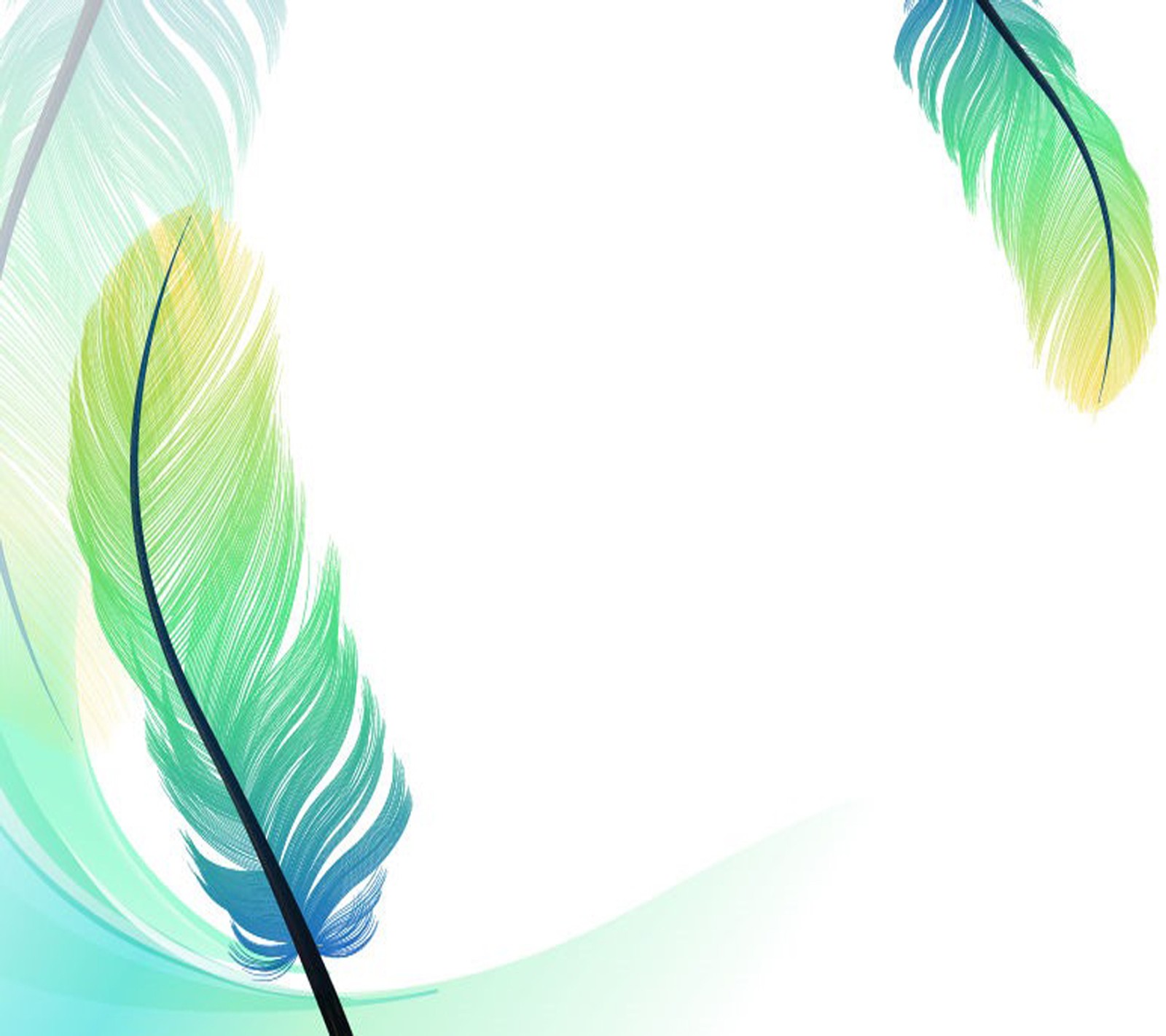 Download feathers, wallpaper for free