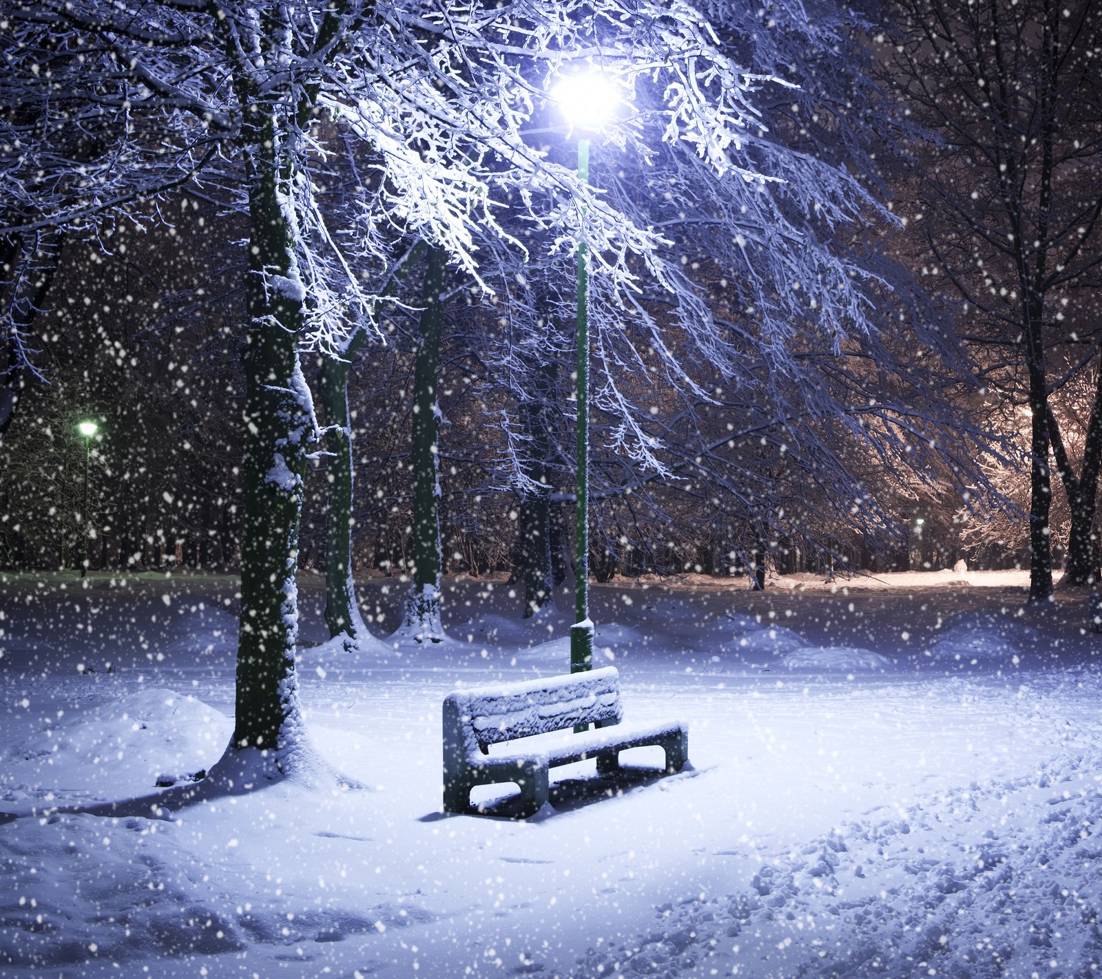 Lade nacht, park, schnee, winter Hintergrund herunter