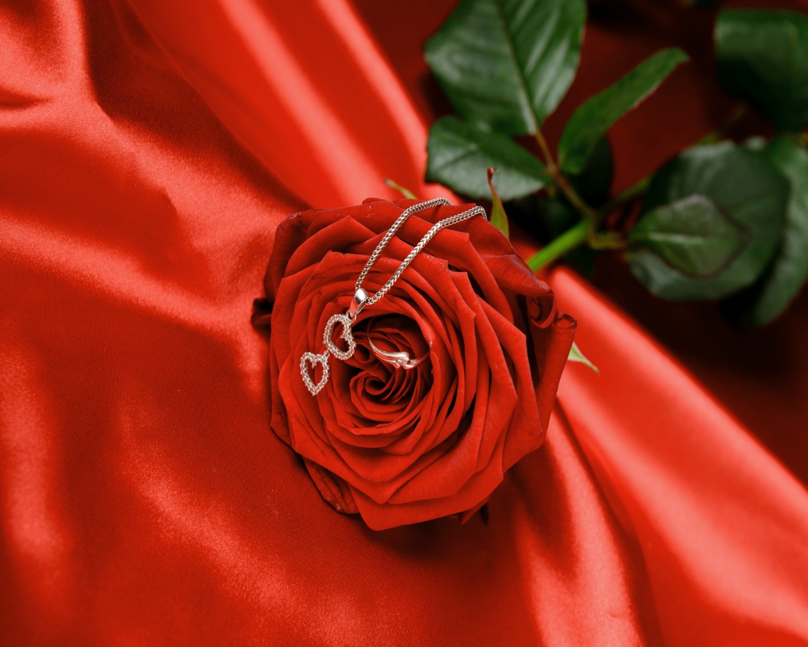 Une rose rouge avec un cœur argenté dessus (anneau cœur, rose)