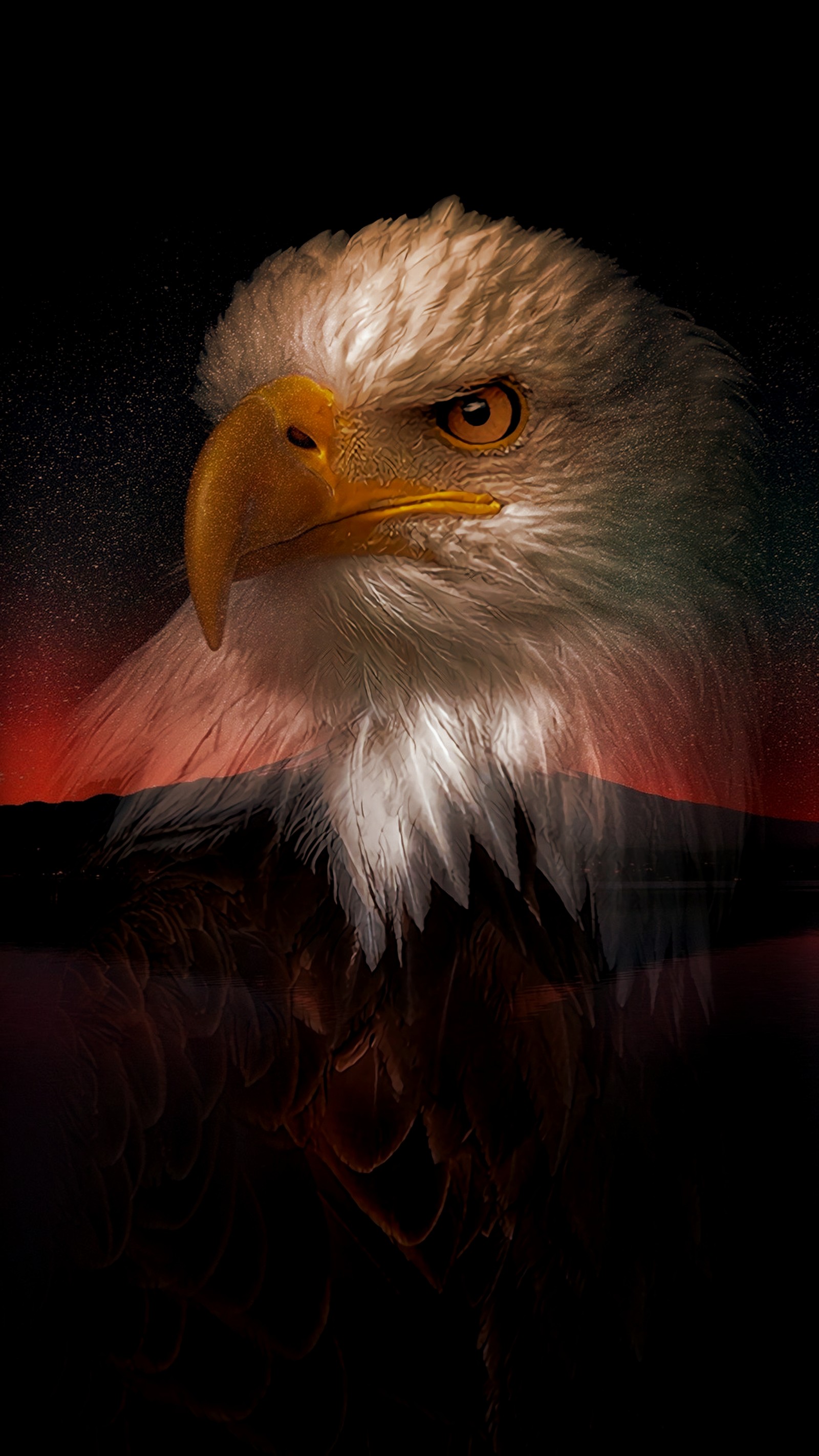 eagle, nature Download Wallpaper