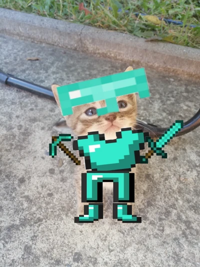 Gato aventureiro em armadura de Minecraft