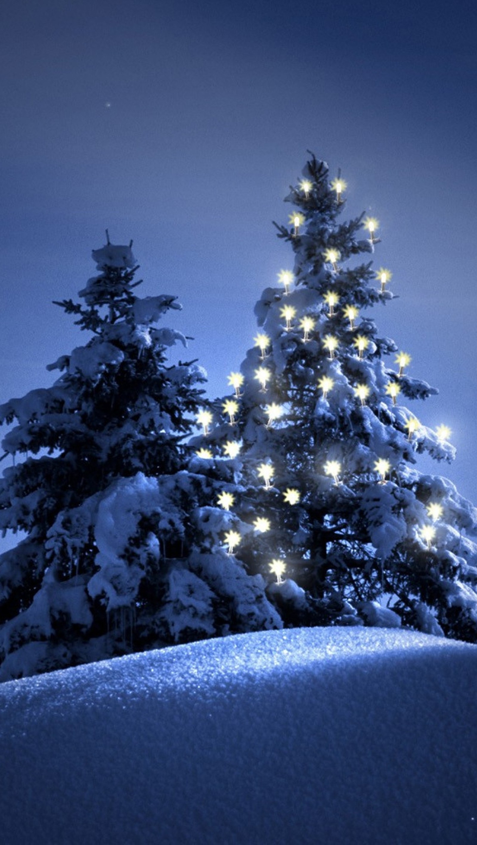 Descargar fondo de pantalla festivo, luces, nieve, árbol