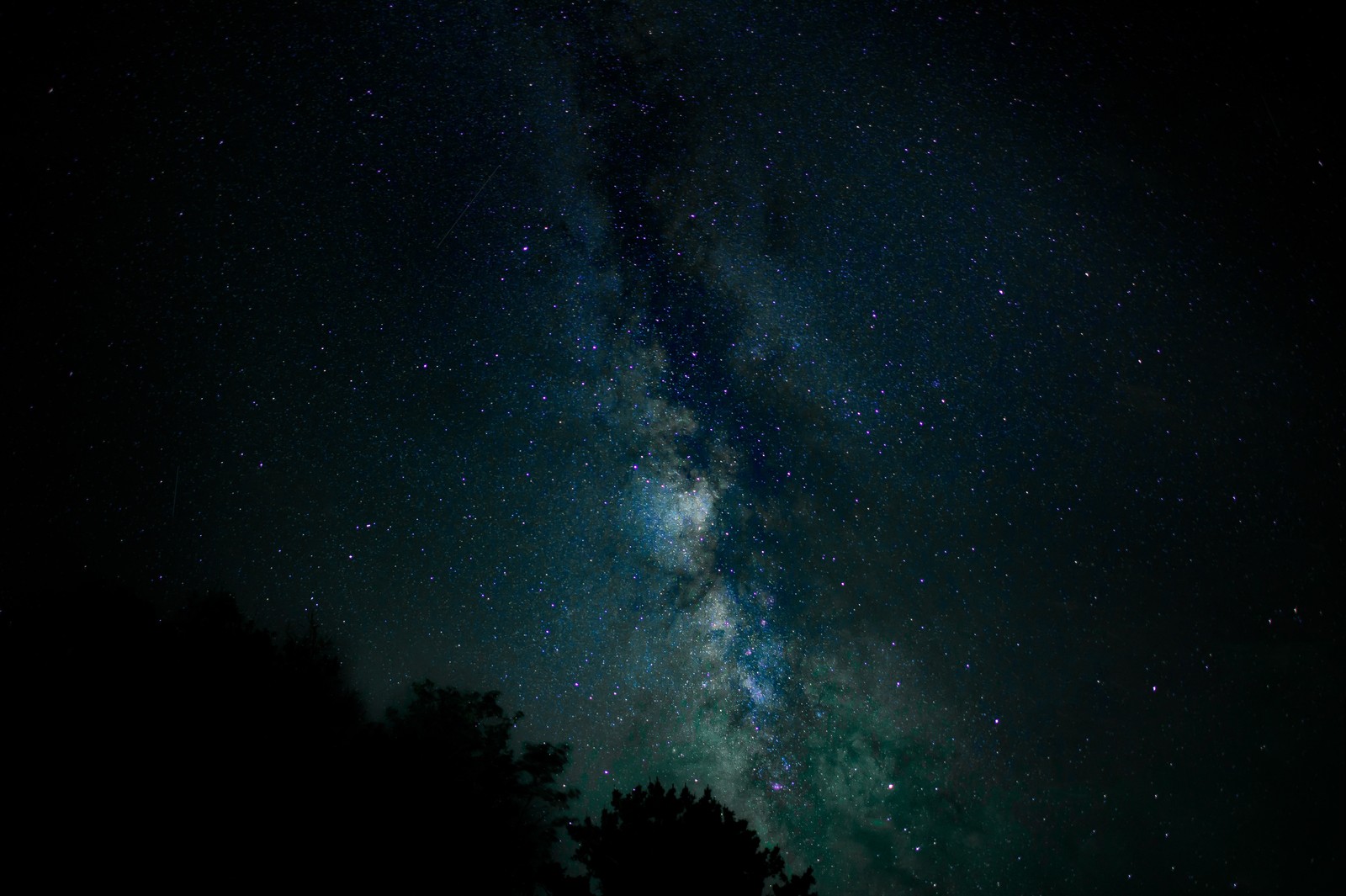 Um céu escuro com muitas estrelas e uma árvore. (via láctea, estrela, astronomia, universo, objeto astronômico)