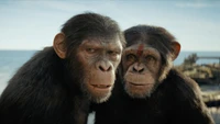 kingdom of the planet of the apes, movie, noa wallpaper