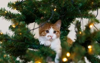 Adorable kitten nestled among Christmas tree branches, surrounded by twinkling lights.