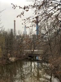 центральный парк, central park, вода, наука, биология