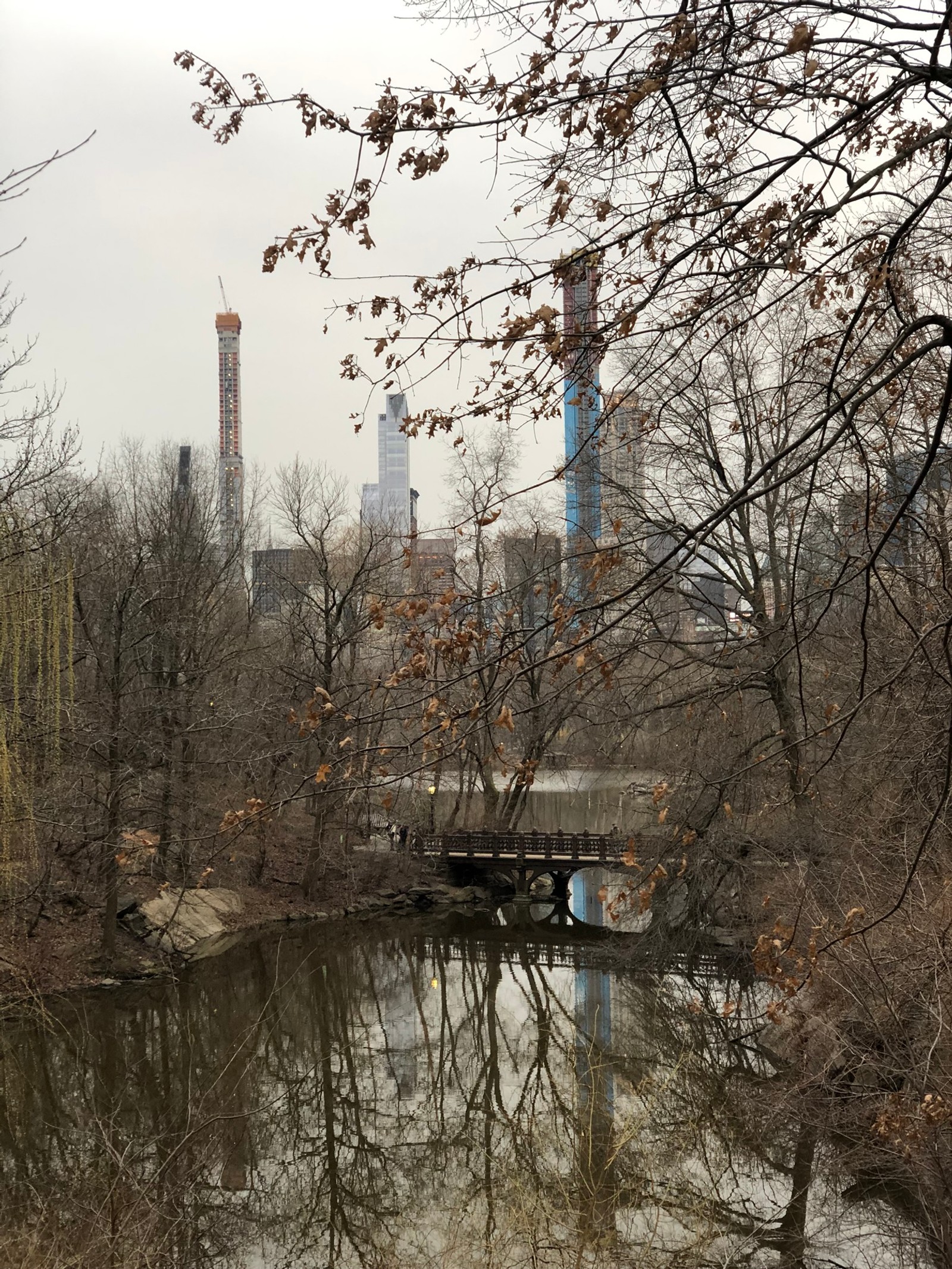 Des arbres se reflètent dans l'eau d'une rivière dans un parc de la ville (central park, eau, science, biologie, branche)