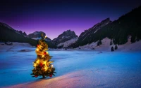 Festlicher Baum beleuchtet in einer verschneiten Berglandschaft bei Dämmerung