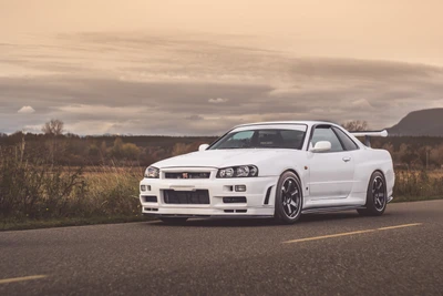 White Nissan Skyline GT-R parked on an open road, showcasing its sleek design and performance features against a dramatic sky.