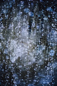 Reflections of Nature: Bokeh and Rain on Forest Flora