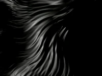 Monochrome Elegance: Fluid Patterns in Darkness