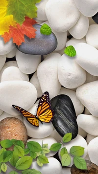 4k, beautiful, nature, pebbles wallpaper