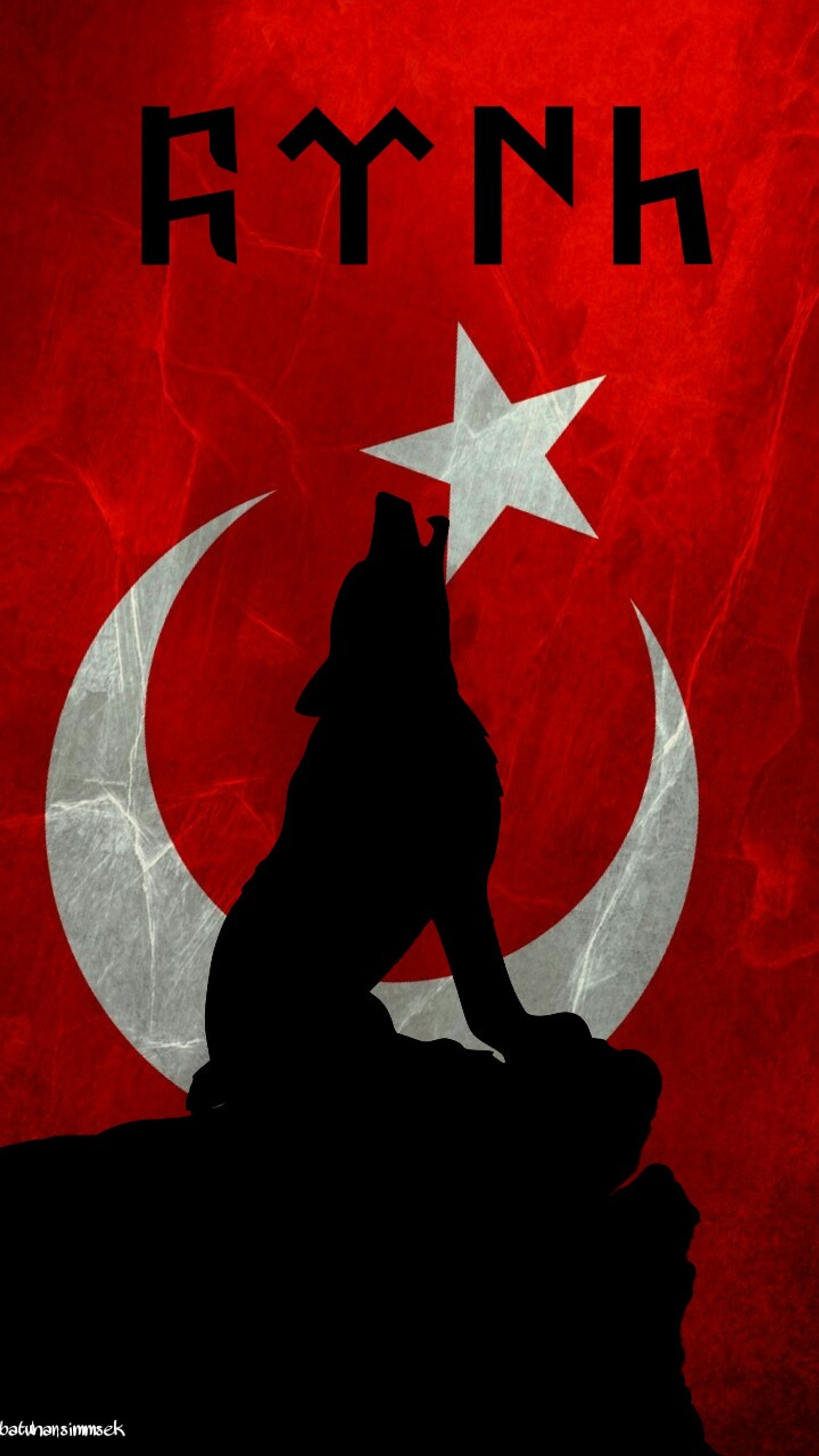 Une silhouette de loup avec une étoile et un croissant sur fond rouge (bozkurt, turc, turkculuk, turquie, turkiye)