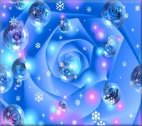 Winter's Blue Rose Blossom