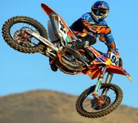 Dynamic motocross rider executing a jump against a vibrant landscape backdrop.