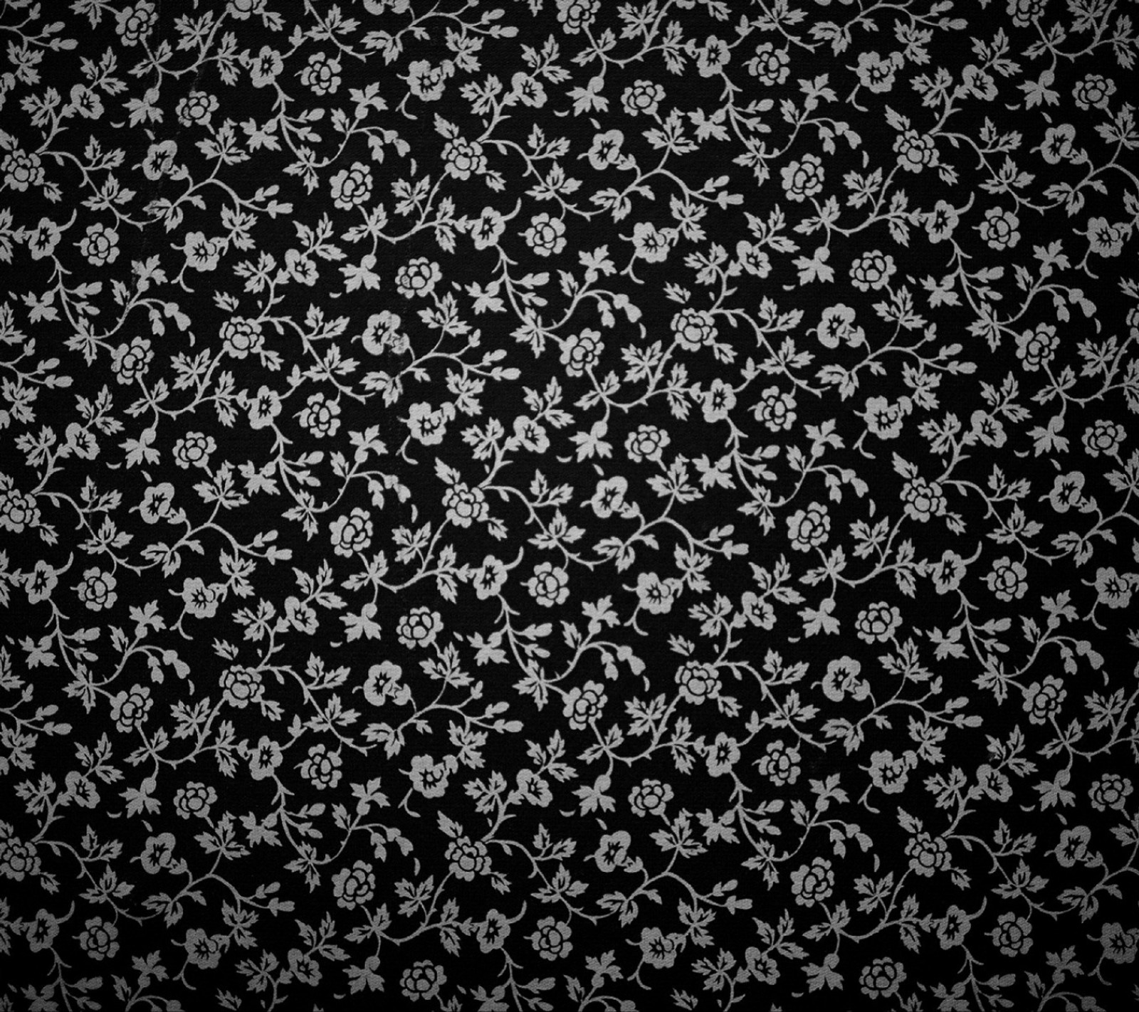 Un fondo floral en blanco y negro con una pequeña flor blanca (fondo, imagen)