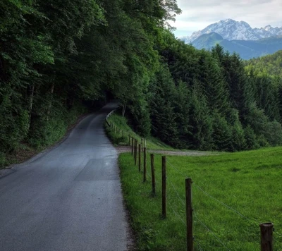 Estrada verde serena através do túnel da natureza com vista para a montanha