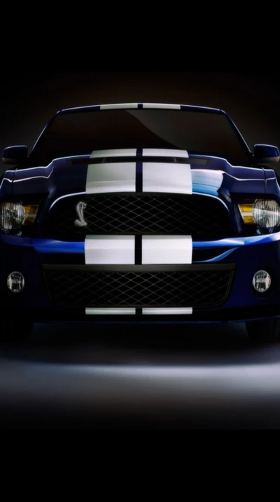 coche, ford shelby, vehículo