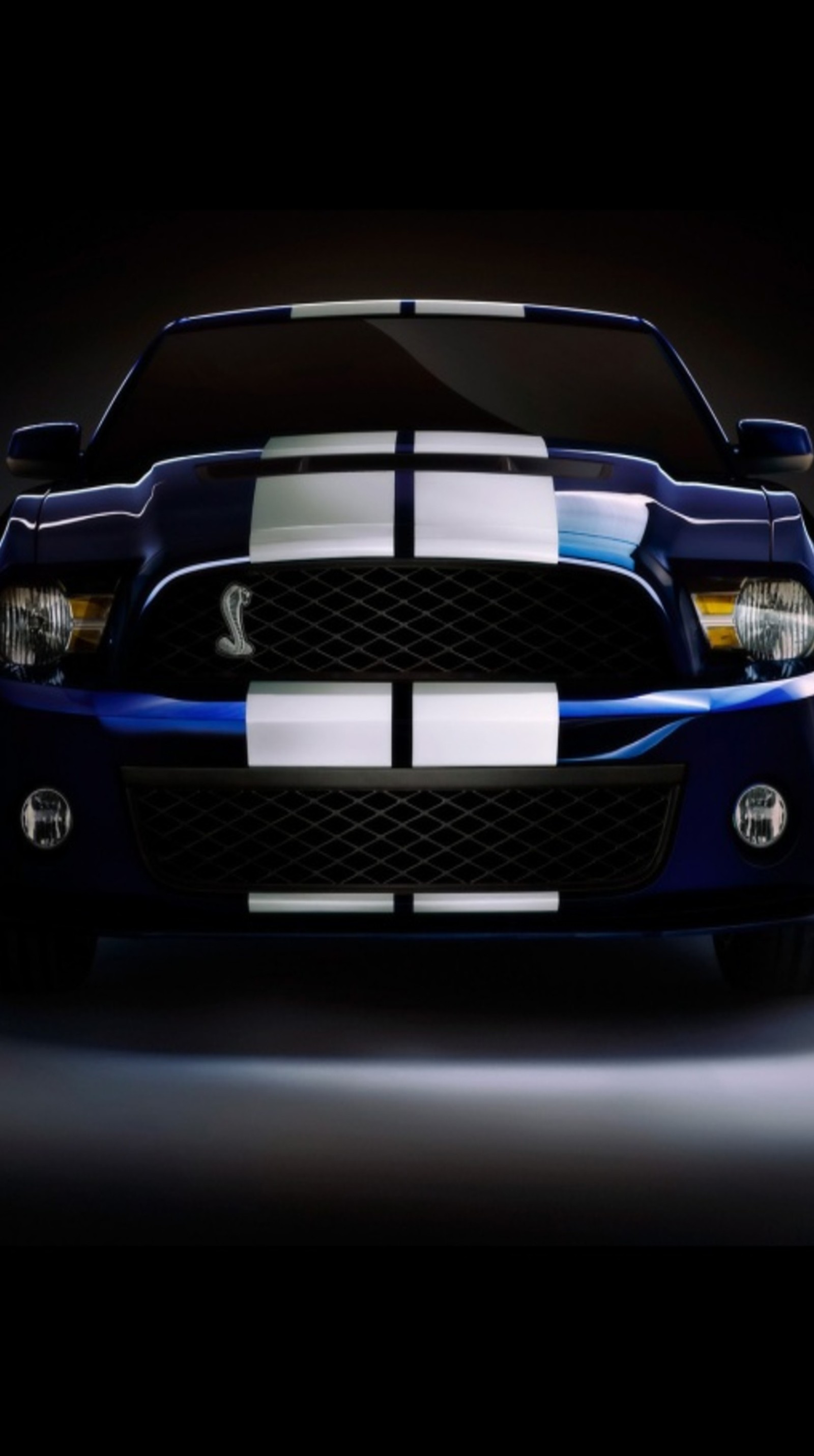 A close up of a blue mustang with a white stripe (car, ford shelby, vehicle)