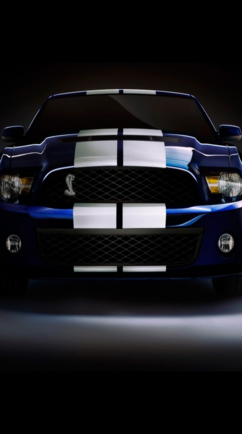 Крупный план синего мустанга с белой полосой (машина, ford shelby, транспортное средство)