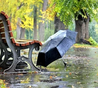 Paraguas y banco en un día lluvioso en un parque