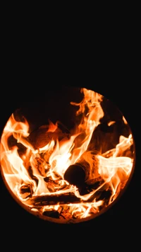 Vibrant Flames of a Bonfire