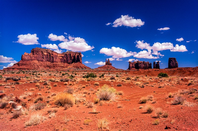 Жирафы в пустыне с голубым небом и облаками (аризона, arizona, облако, скала, дикая природа)