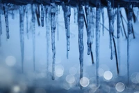 Gefrorene Eiszapfen, die im blauen Licht des Winters glitzern