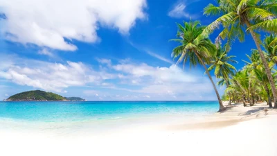 Paraíso tropical: aguas azules y costas bordeadas de palmeras