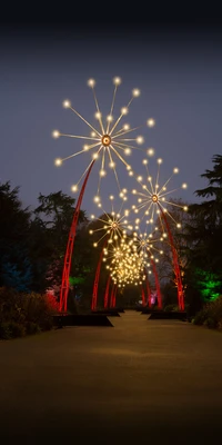 Camino Iluminado: Un Festival Nocturno de Luz y Diseño