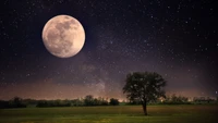 Una radiante superluna ilumina un tranquilo cielo nocturno lleno de estrellas, proyectando su luz sobre un paisaje sereno con un árbol solitario.