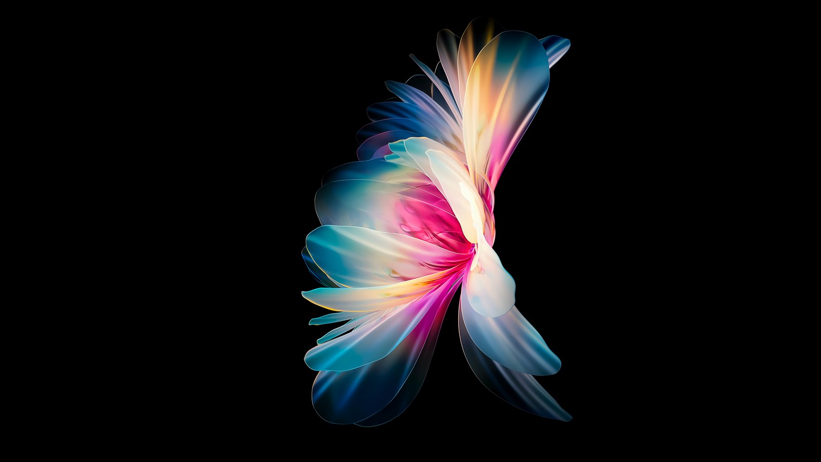 Eine nahaufnahme einer bunten blume auf schwarzem hintergrund (huawei p50 pocket, amoled, aktie, mädchenhafte hintergründe, schwarzer hintergrund)