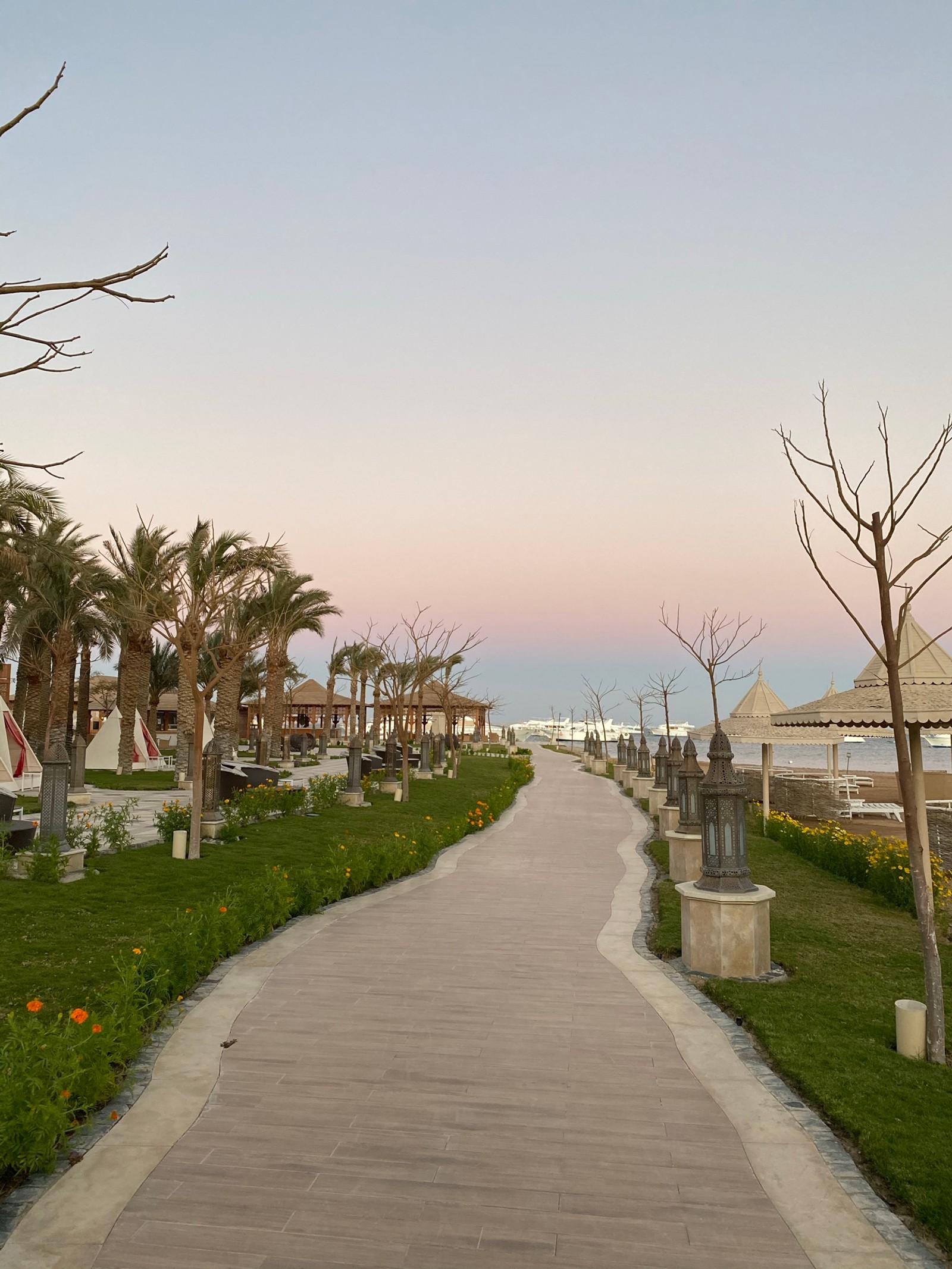 There is a walkway that leads to a beach with a few trees (palm trees, road, plant, infrastructure, water)