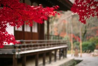 Hojas de arce rojas vibrantes enmarcando un tranquilo pabellón japonés en otoño