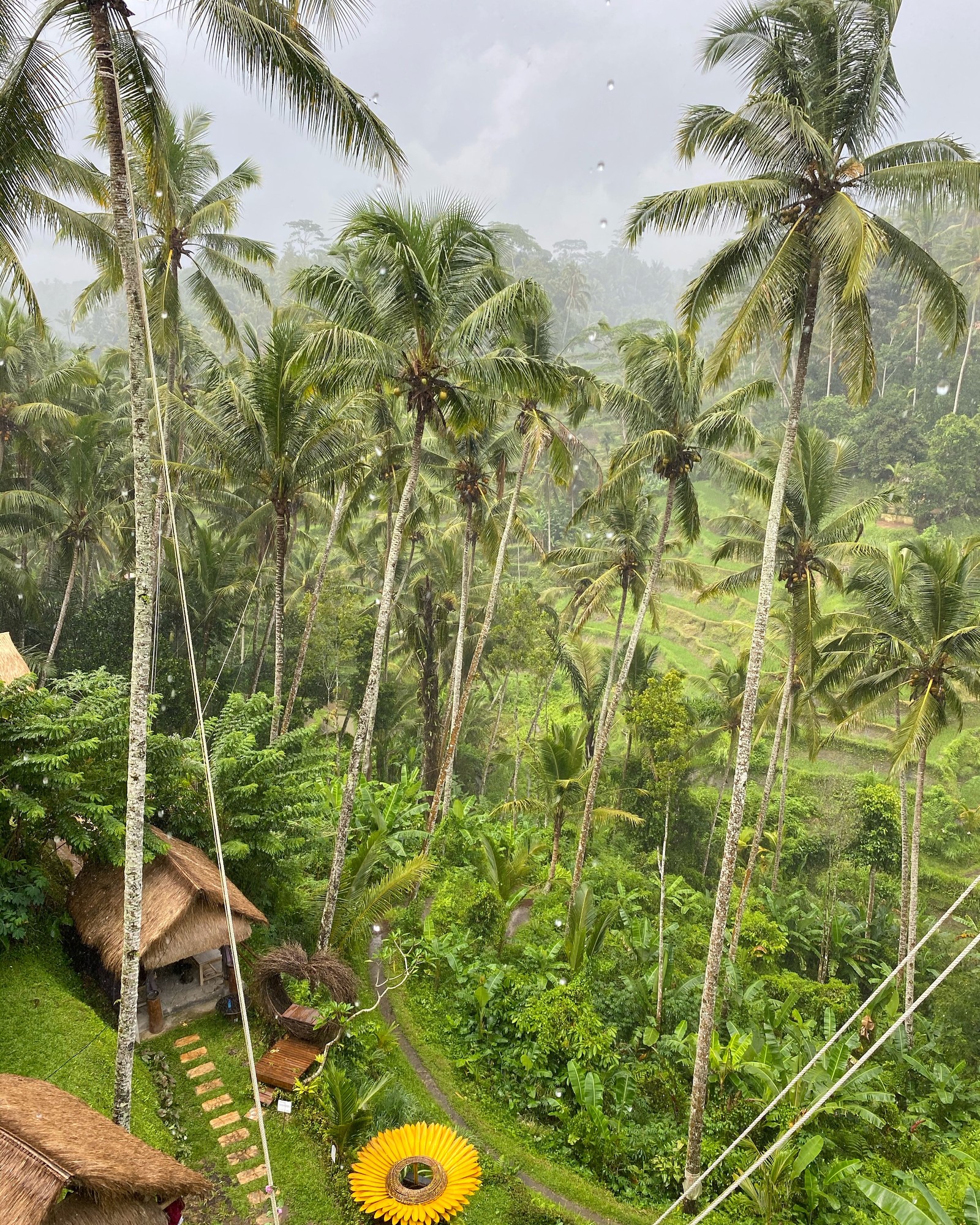 Es gibt ein kleines dorf mit einem gelben regenschirm mitten im dschungel (bali, vegetation, biom, regenwald, palmen)